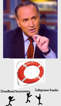 schumer foreclosure bailout