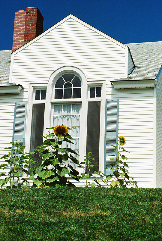 Top Rated New Home Features Most Buyers Want