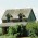 Abandoned Properties