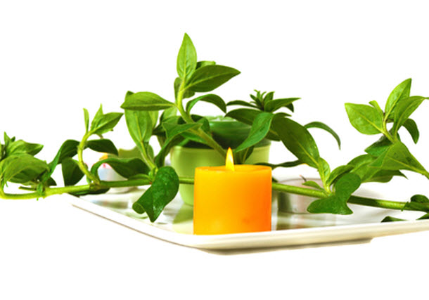 Aromatherapy for Business Success